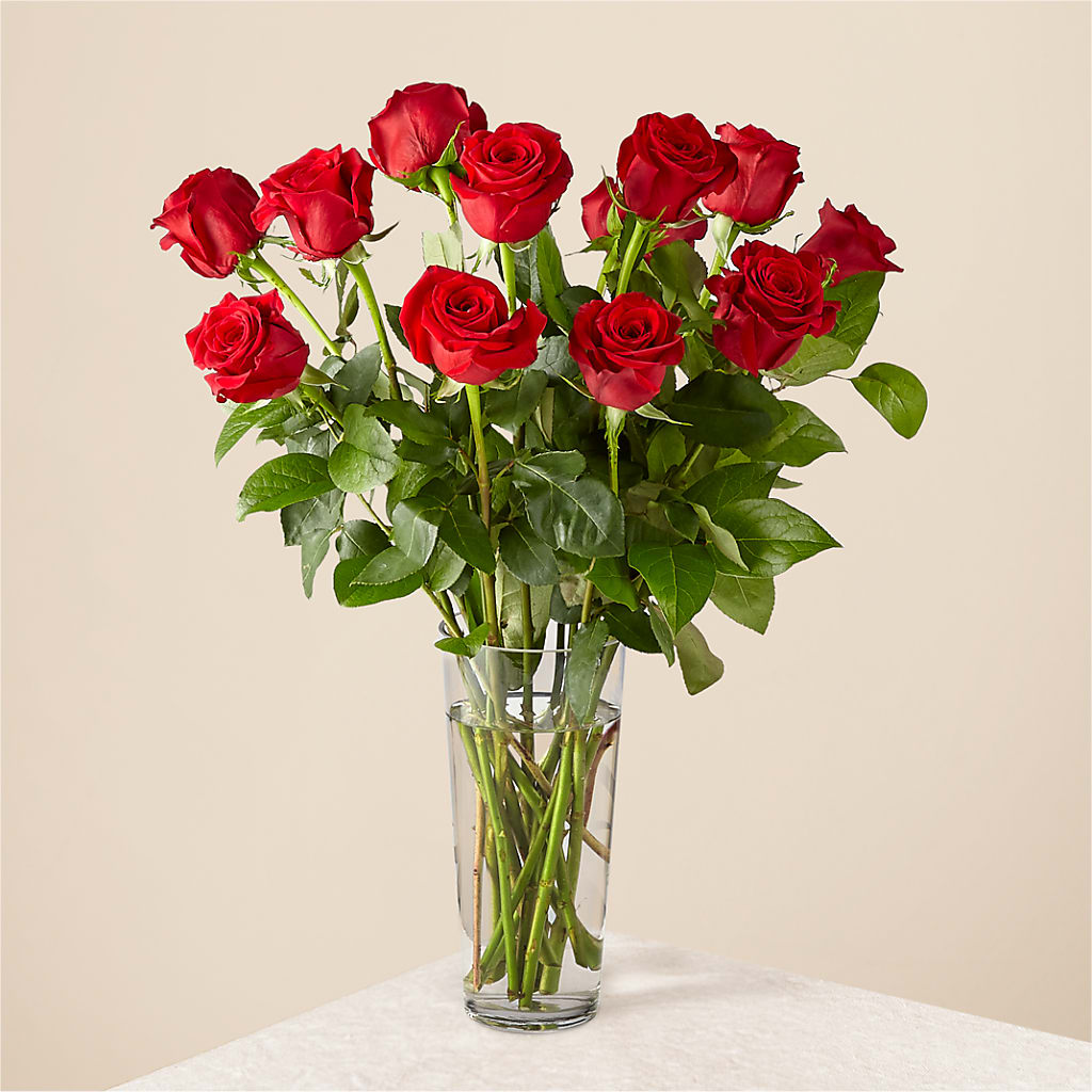 Long Stem Red Rose Bouquet – BUTTERFLIES & BOUQUETS, Peterstown WV