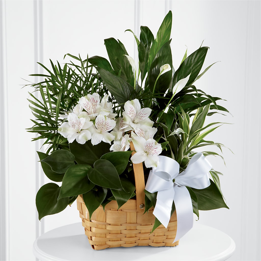 Peace & Serenity Dishgarden – BUTTERFLIES & BOUQUETS, Peterstown WV