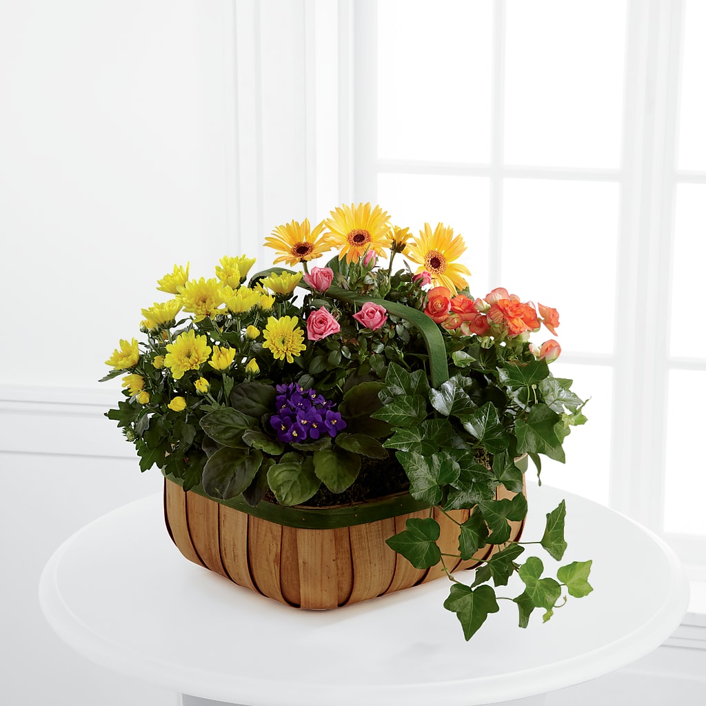 Gentle Blossoms Basket – BUTTERFLIES & BOUQUETS, Peterstown WV