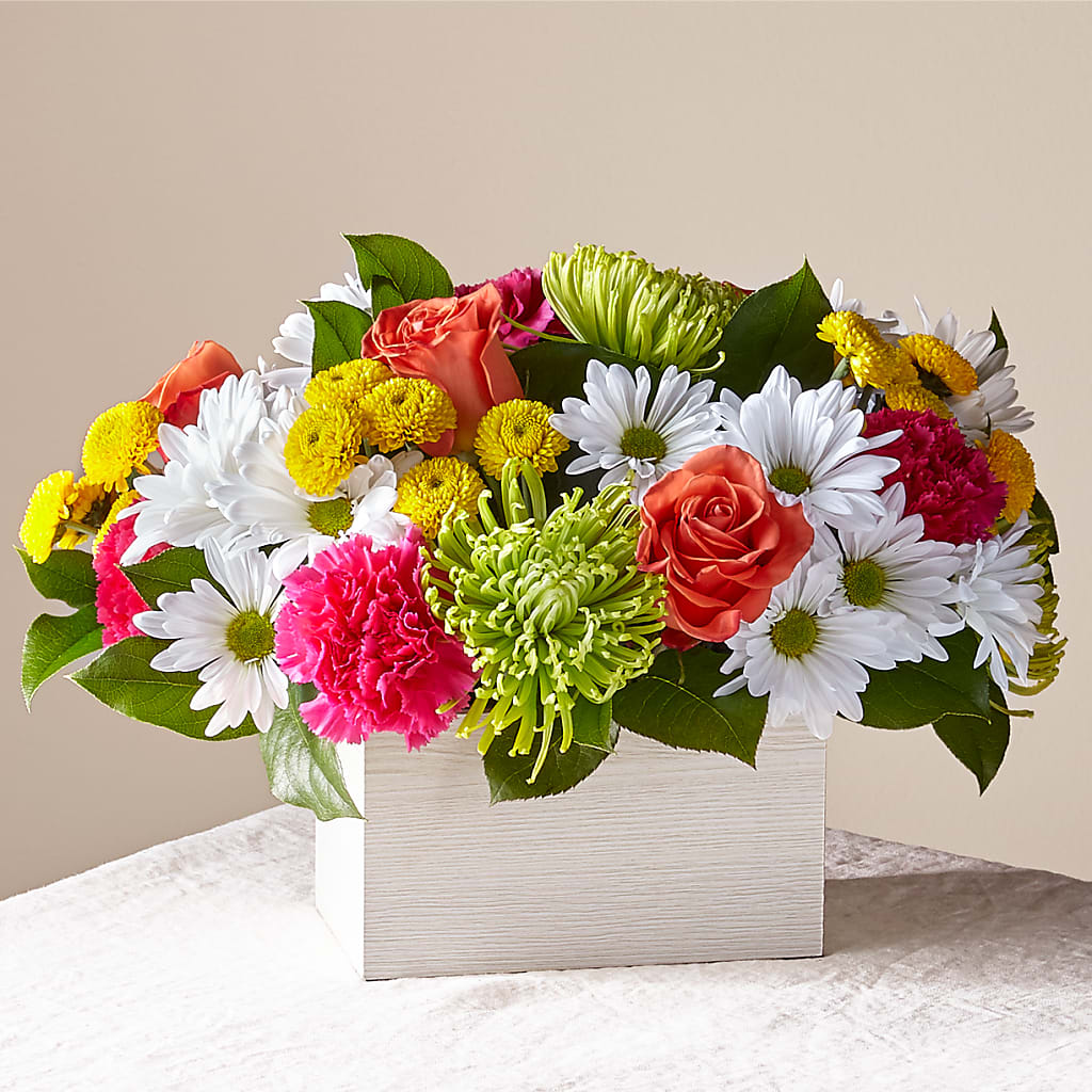 Sorbet Bouquet – BUTTERFLIES & BOUQUETS, Peterstown WV