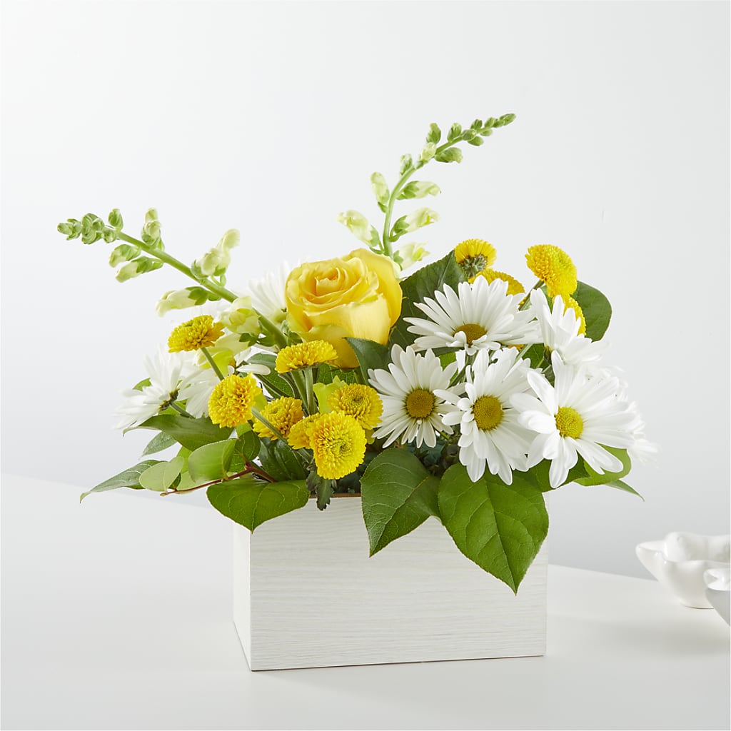 Sun Salutation Box Bouquet – BUTTERFLIES & BOUQUETS, Peterstown WV