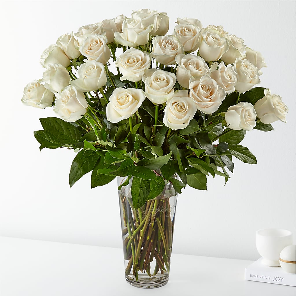 Long Stem White Rose Bouquet – BUTTERFLIES & BOUQUETS, Peterstown WV