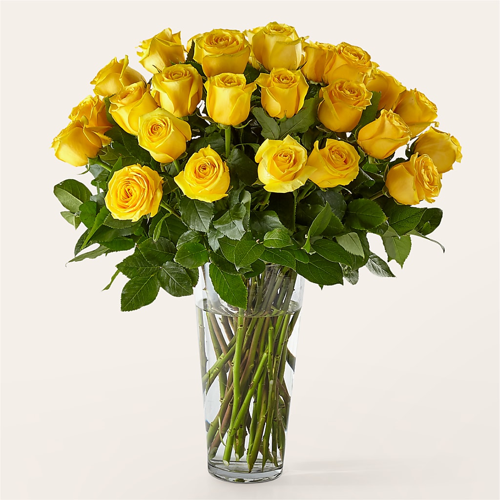 Long Stem Yellow Rose Bouquet – BUTTERFLIES & BOUQUETS, Peterstown WV