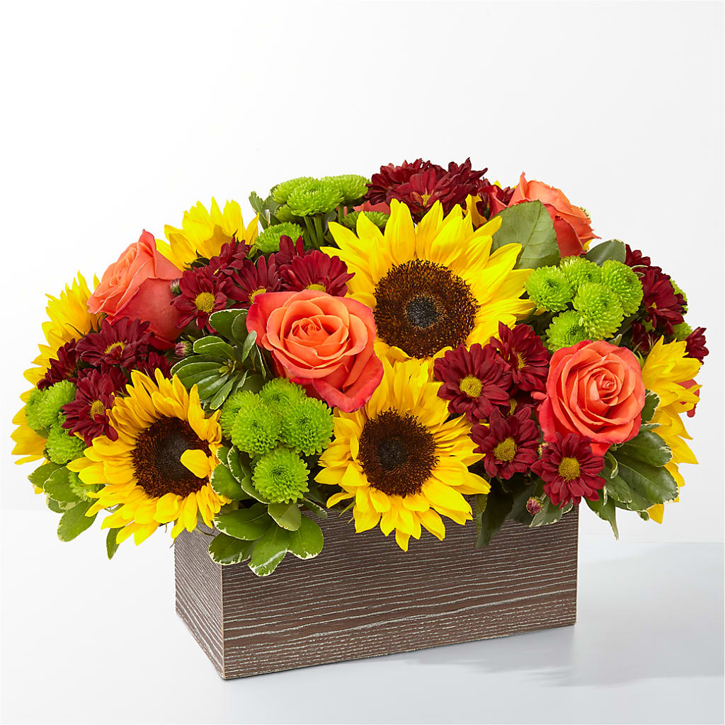Happy Harvest Garden – BUTTERFLIES & BOUQUETS, Peterstown WV