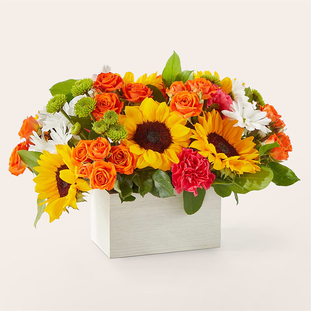 Sun-drenched Blooms Box Bouquet – BUTTERFLIES & BOUQUETS, Peterstown WV