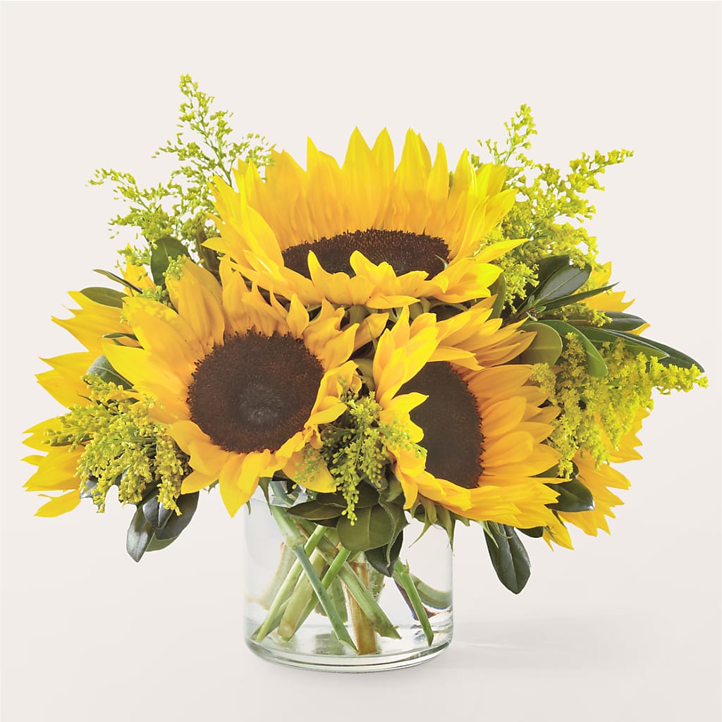 Beaming Sunflower Bouquet – BUTTERFLIES & BOUQUETS, Peterstown WV