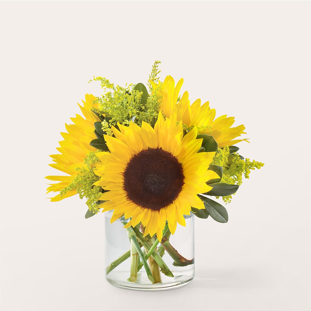 Beaming Sunflower Bouquet – BUTTERFLIES & BOUQUETS, Peterstown WV