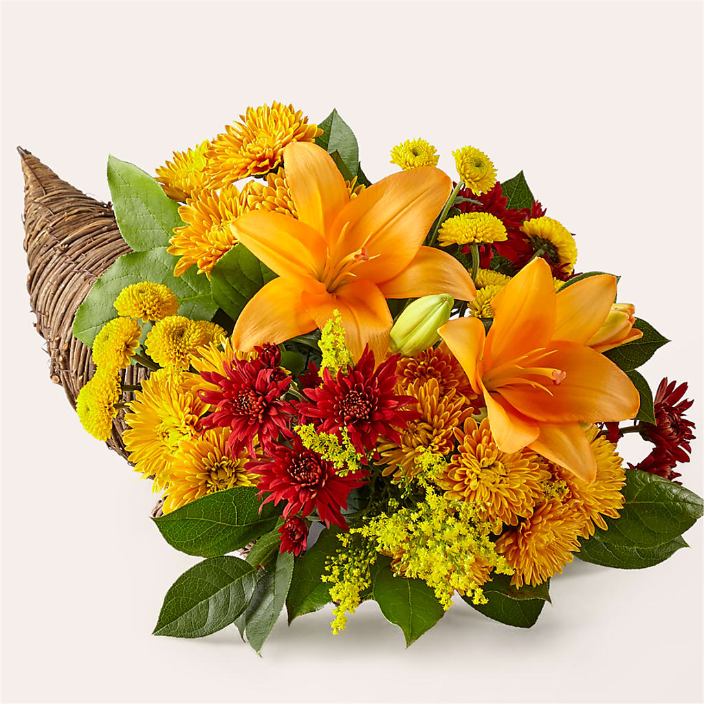 Feast of Color Cornucopia – BUTTERFLIES & BOUQUETS, Peterstown WV