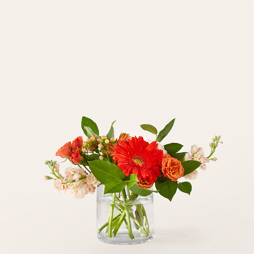 Paloma Please Bouquet – BUTTERFLIES & BOUQUETS, Peterstown WV