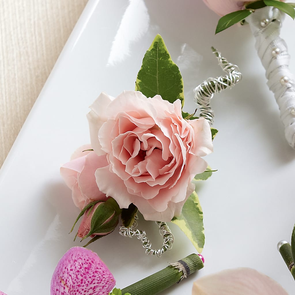 Pink Spray Rose Boutonniere – BUTTERFLIES & BOUQUETS, Peterstown WV