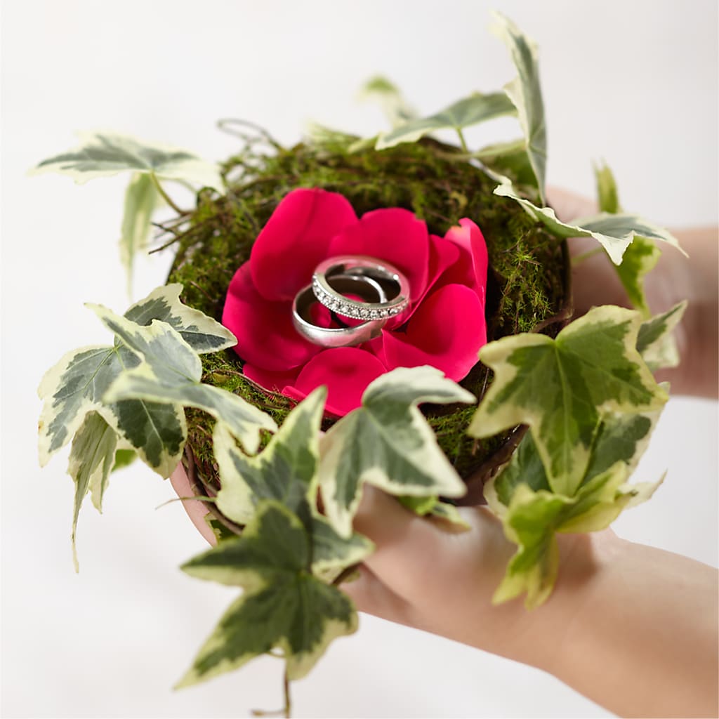 Lila Rose Ring Nest – BUTTERFLIES & BOUQUETS, Peterstown WV