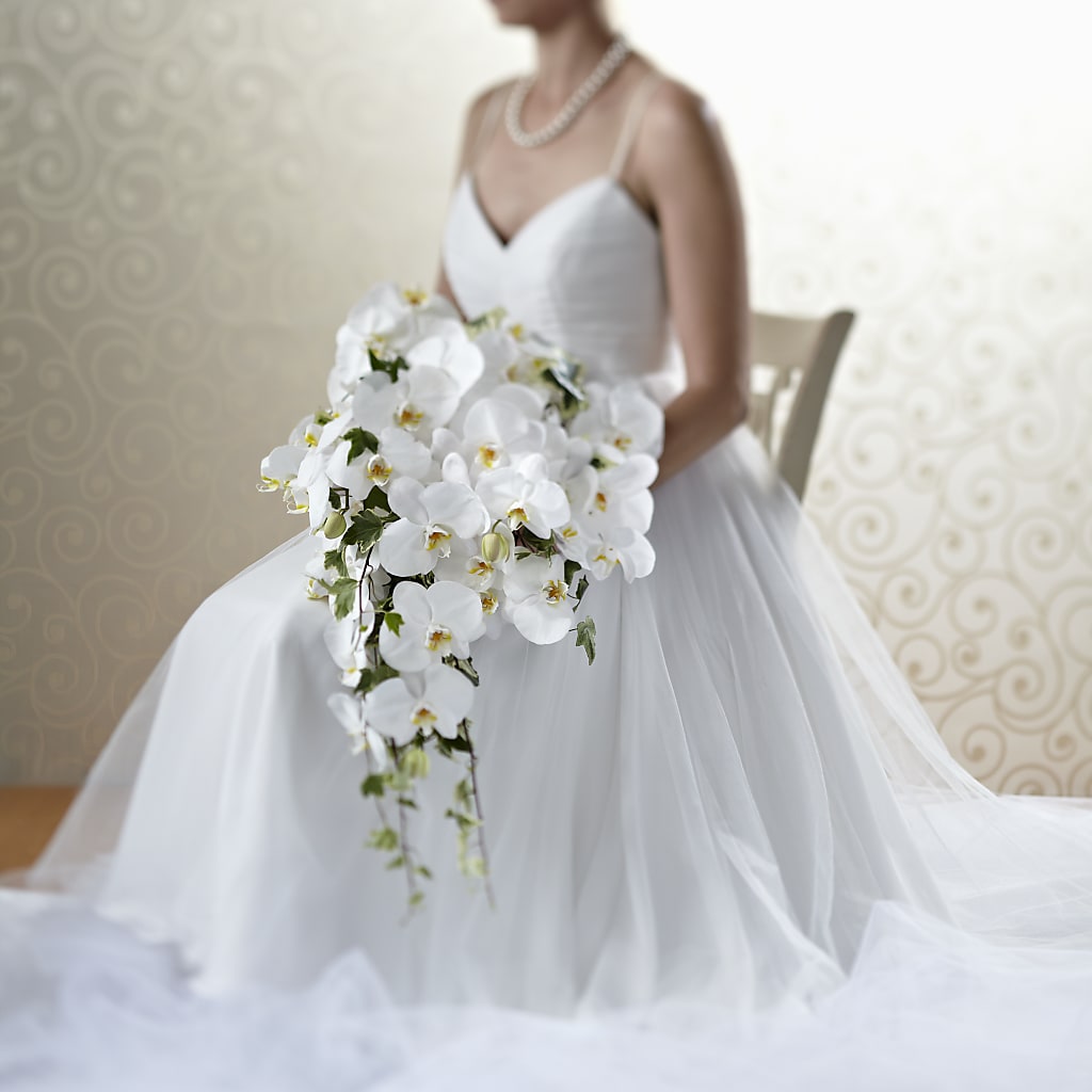 Classic White Bouquet – BUTTERFLIES & BOUQUETS, Peterstown WV