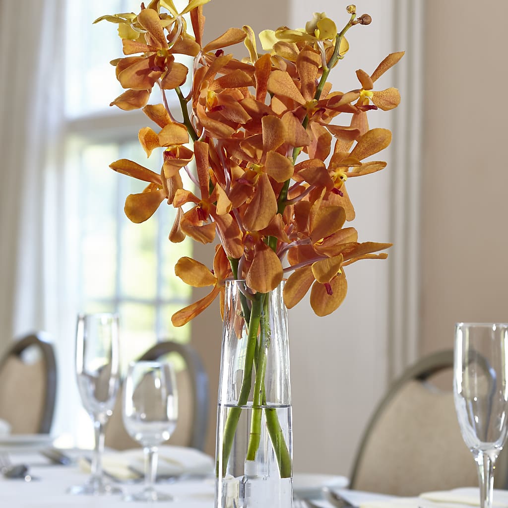 Orange Mokara Bud Vase – BUTTERFLIES & BOUQUETS, Peterstown WV