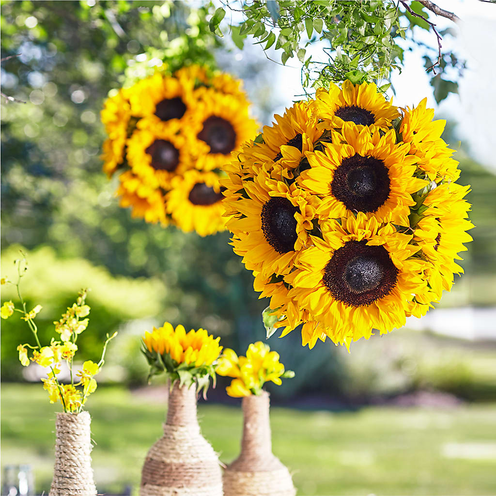 Sublime Garden Hanging Arrangement – BUTTERFLIES & BOUQUETS, Peterstown WV