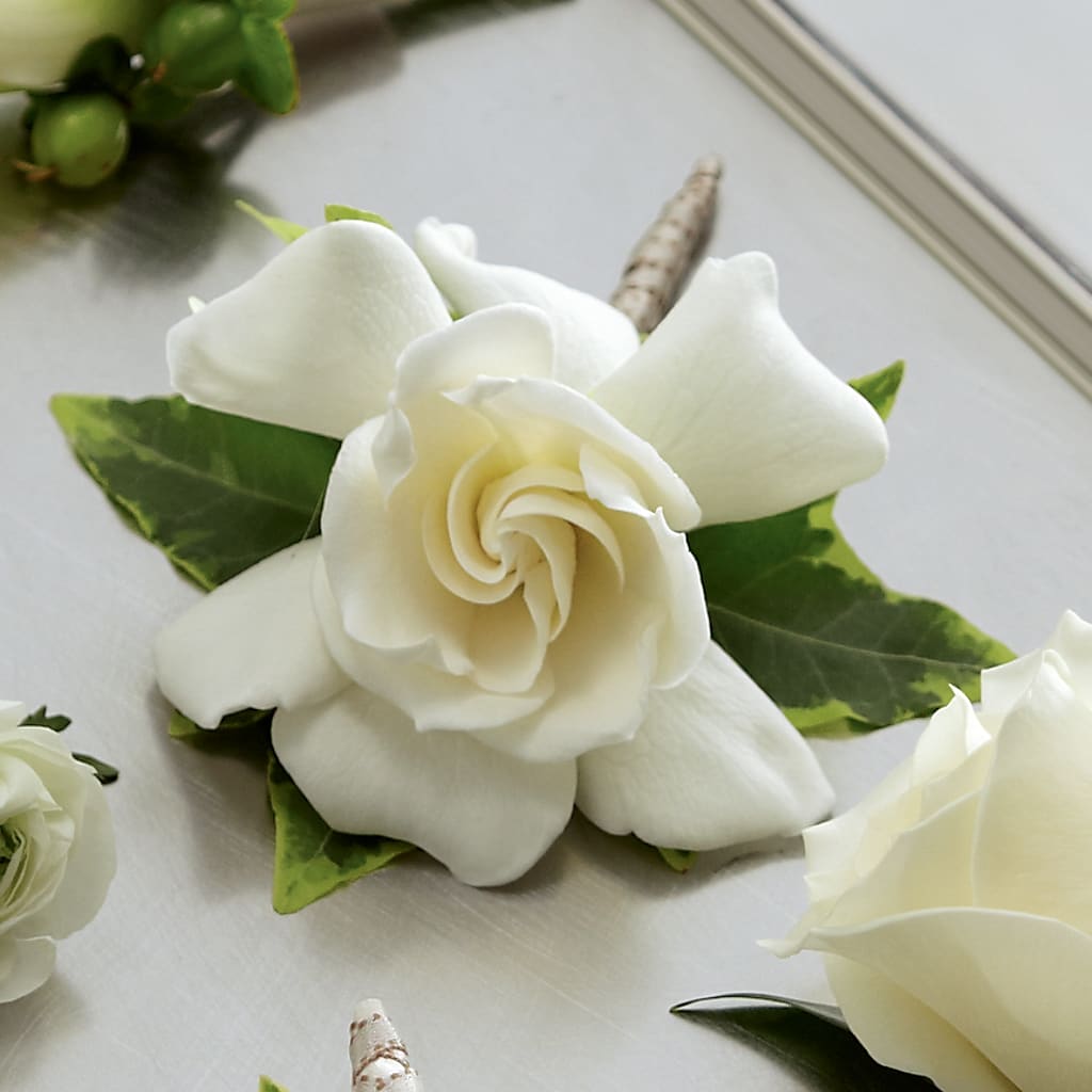 Gardenia Boutonniere – BUTTERFLIES & BOUQUETS, Peterstown WV