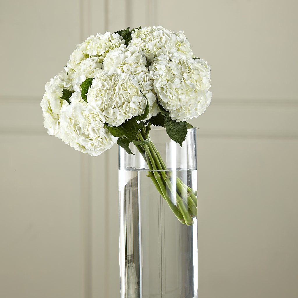 White Hydrangea Hand-Tied Bouquet – BUTTERFLIES & BOUQUETS, Peterstown WV