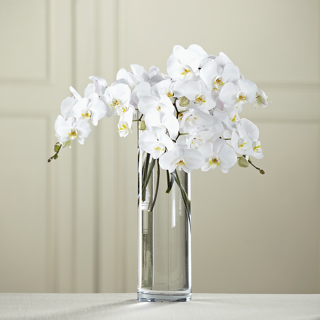 White Phalaenopsis Bouquet – BUTTERFLIES & BOUQUETS, Peterstown WV