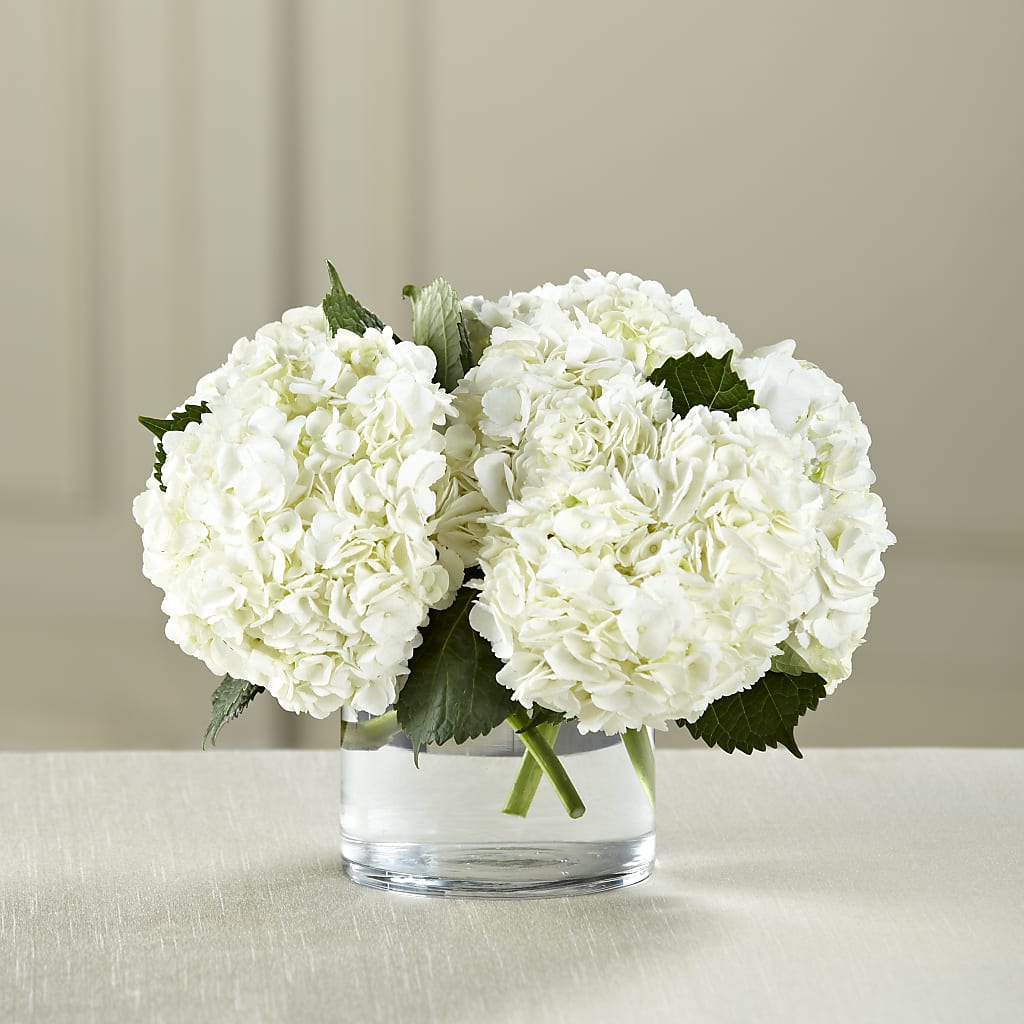 White Hydrangea Bouquet – BUTTERFLIES & BOUQUETS, Peterstown WV