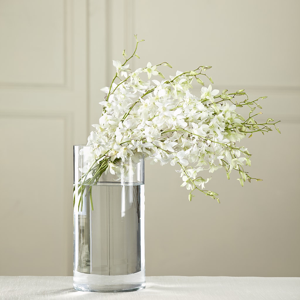 White Dendrobium Bouquet – BUTTERFLIES & BOUQUETS, Peterstown WV