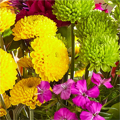 Bold & Bright – A Florist Original – BUTTERFLIES & BOUQUETS, Peterstown WV