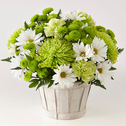 Lucky Charm Basket (Standard) – BUTTERFLIES & BOUQUETS, Peterstown WV