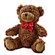 Adorable Plush Bear – BUTTERFLIES & BOUQUETS, Peterstown WV