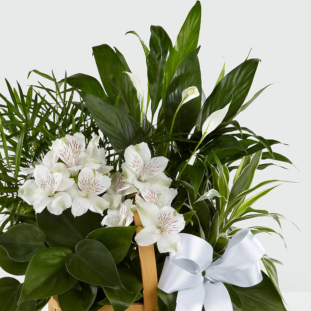 Peace & Serenity Dishgarden – BUTTERFLIES & BOUQUETS, Peterstown WV