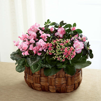 Pink Assortment – BUTTERFLIES & BOUQUETS, Peterstown WV