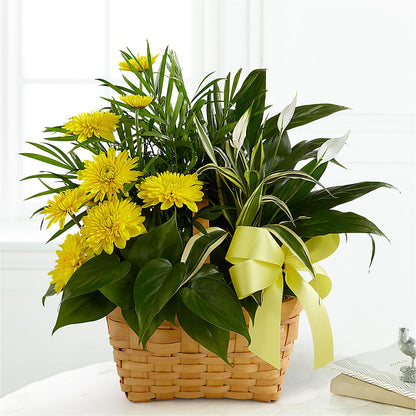 Loving Light Dishgarden – BUTTERFLIES & BOUQUETS, Peterstown WV