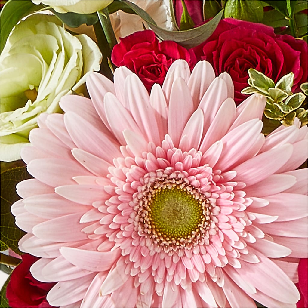 Too Cute Bouquet – BUTTERFLIES & BOUQUETS, Peterstown WV