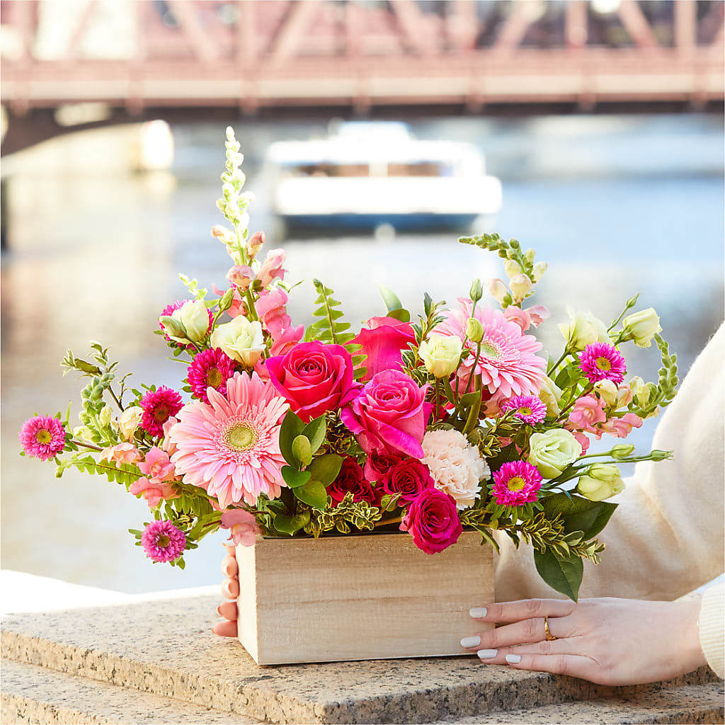 Too Cute Bouquet – BUTTERFLIES & BOUQUETS, Peterstown WV