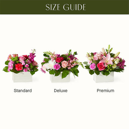 Sweetberry Box – A Florist Original – BUTTERFLIES & BOUQUETS, Peterstown WV