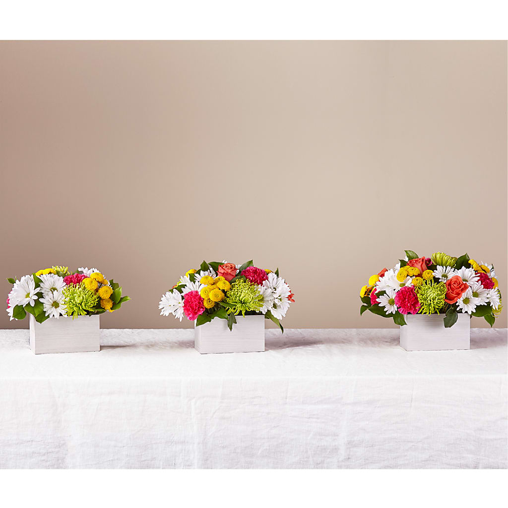 Sorbet Bouquet – BUTTERFLIES & BOUQUETS, Peterstown WV