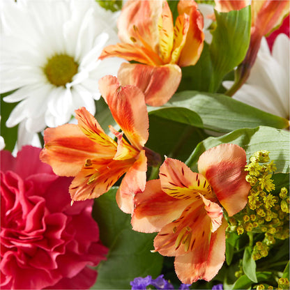 Oopsie Daisy Box Bouquet – BUTTERFLIES & BOUQUETS, Peterstown WV