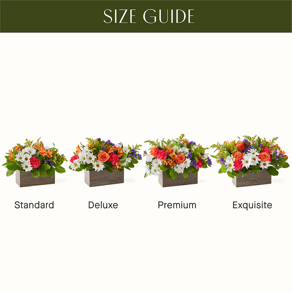 Oopsie Daisy Box Bouquet – BUTTERFLIES & BOUQUETS, Peterstown WV