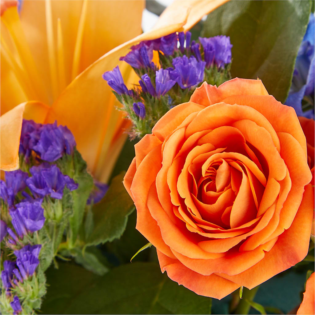Radiant Citrus Box Bouquet – BUTTERFLIES & BOUQUETS, Peterstown WV