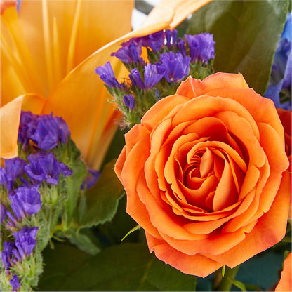 Radiant Citrus Box Bouquet – BUTTERFLIES & BOUQUETS, Peterstown WV