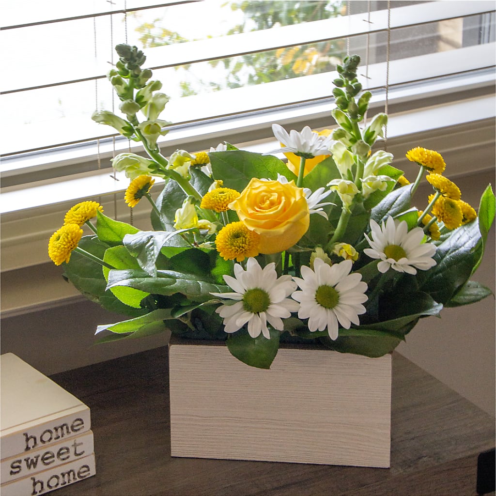 Sun Salutation Box Bouquet – BUTTERFLIES & BOUQUETS, Peterstown WV
