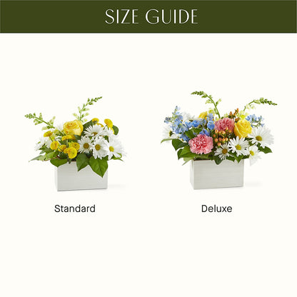 Sun Salutation Box Bouquet – BUTTERFLIES & BOUQUETS, Peterstown WV