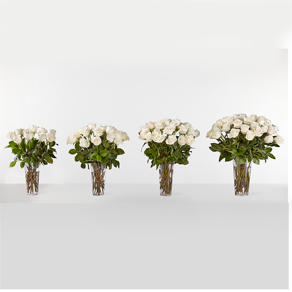 Long Stem White Rose Bouquet – BUTTERFLIES & BOUQUETS, Peterstown WV