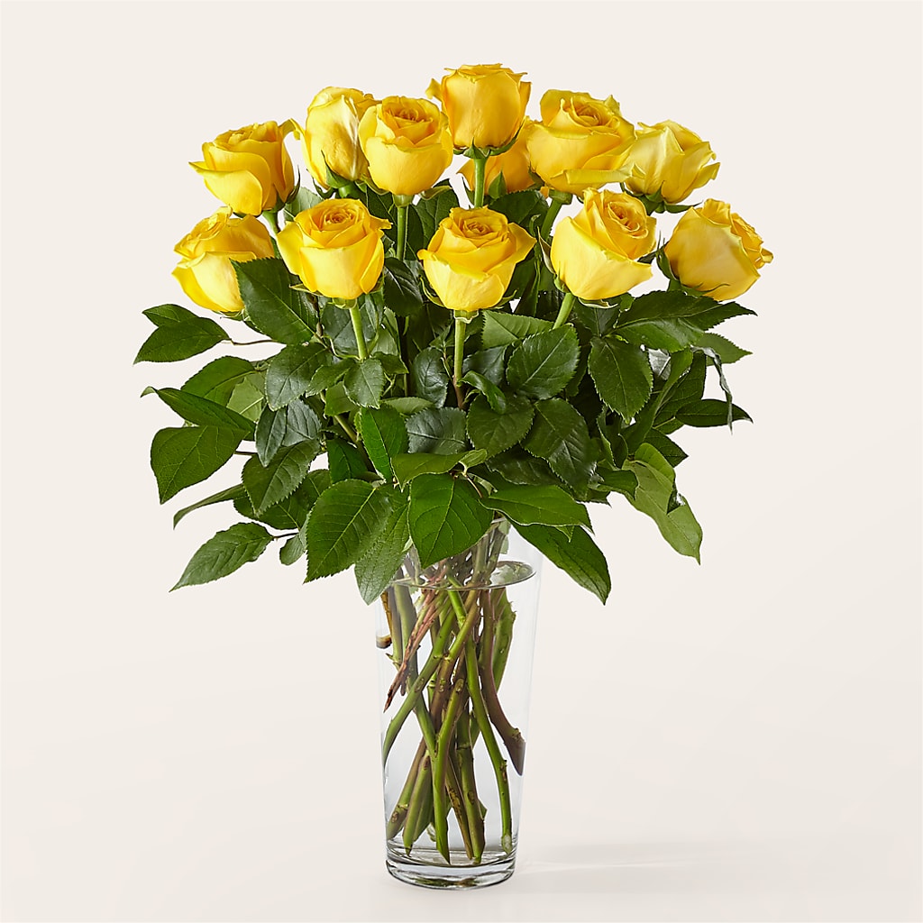 Long Stem Yellow Rose Bouquet – BUTTERFLIES & BOUQUETS, Peterstown WV