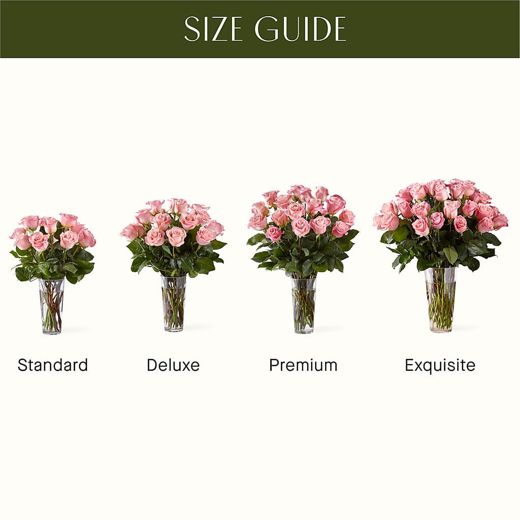 Long Stem Pink Rose Bouquet – BUTTERFLIES & BOUQUETS, Peterstown WV