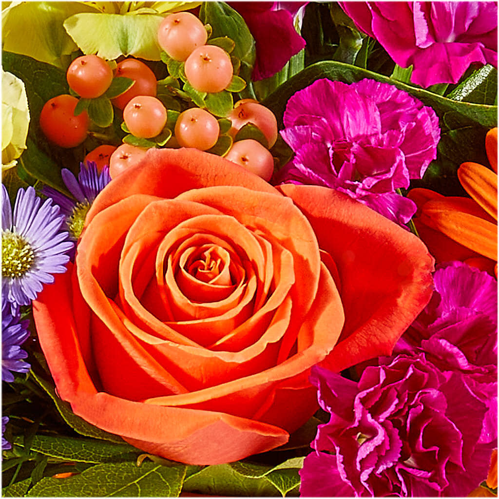 Tricks & Treats Pumpkin – BUTTERFLIES & BOUQUETS, Peterstown WV