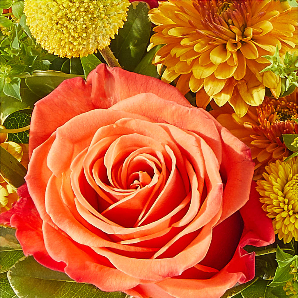 Gourdgeous Pumpkin – BUTTERFLIES & BOUQUETS, Peterstown WV