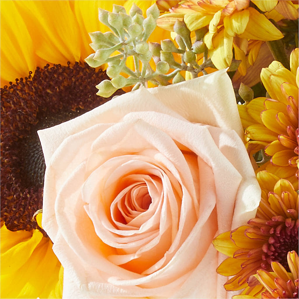 Pumpkin to Talk About Bouquet – BUTTERFLIES & BOUQUETS, Peterstown WV