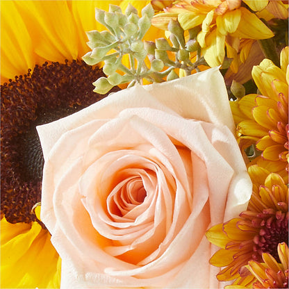 Pumpkin to Talk About Bouquet – BUTTERFLIES & BOUQUETS, Peterstown WV