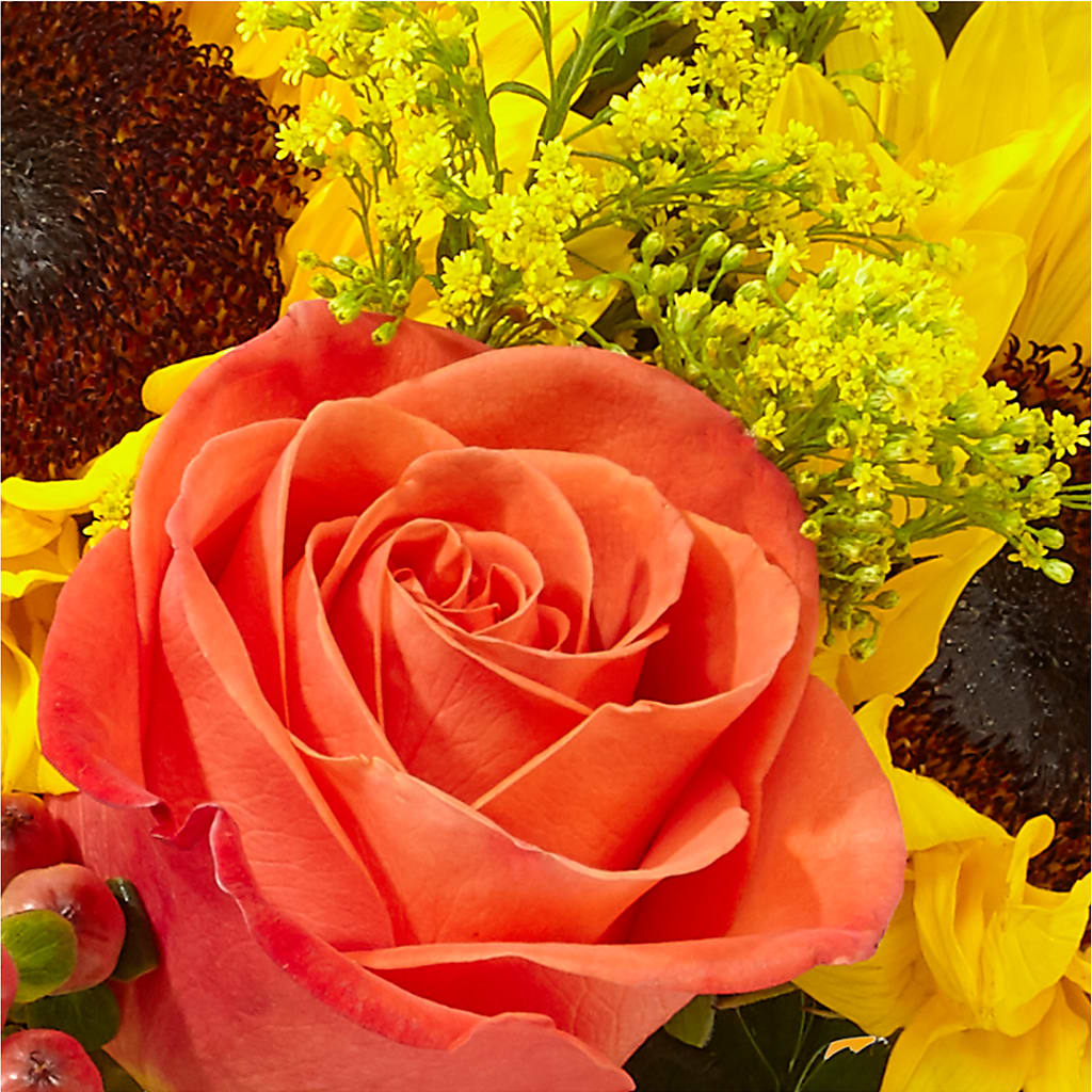 Pick of the Patch Pumpkin Bouquet – BUTTERFLIES & BOUQUETS, Peterstown WV