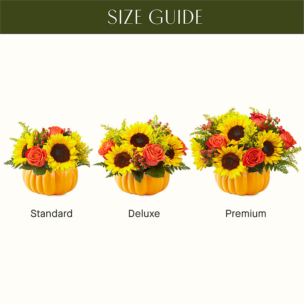 Pick of the Patch Pumpkin Bouquet – BUTTERFLIES & BOUQUETS, Peterstown WV