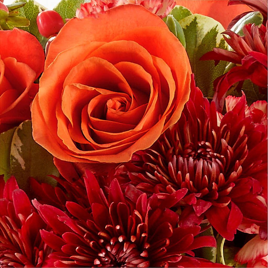 Autumn Air Pumpkin Bouquet – BUTTERFLIES & BOUQUETS, Peterstown WV