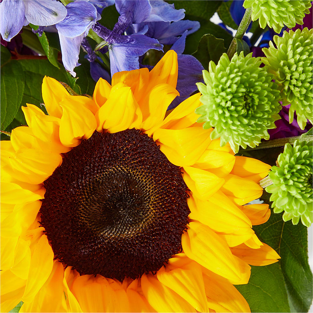 Catching Rays Bouquet – BUTTERFLIES & BOUQUETS, Peterstown WV